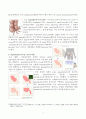 acute appendicitis case study 3페이지