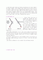 1일에너지평형분석,트랜스지방산과건강과의연관성,대사증후군, 식단계산문제풀이 2페이지