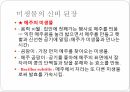 밥, 김치,된장등 발효식품 식단작성 8페이지