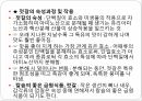 밥, 김치,된장등 발효식품 식단작성 15페이지