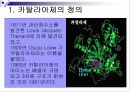 Catalase 카탈라아제 효소 조사 3페이지