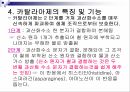 Catalase 카탈라아제 효소 조사 9페이지