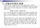 Catalase 카탈라아제 효소 조사 12페이지