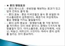 식생활과식단관리ppt 13페이지