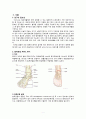 성인간호학 ankle fracture case study 간호과정 3개 3페이지