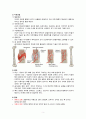 성인간호학 ankle fracture case study 간호과정 3개 5페이지