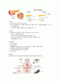 아동간호학 당뇨병(T1DM) case study, 간호과정1개, 사례포함 4페이지