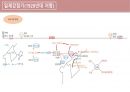 [최태성 한국사 판서 + 메가스터디 요약집 종합본] 한국사능력검정시험 심화 대비 끝장 요약본!! ((심화1급 합격 필기노트)) 39페이지