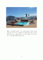 코스타 크루즈 레포트 14페이지