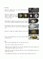 식재료에 대한 특징과 조리원리, 변화 과정에 관한 조사(잡채) 9페이지