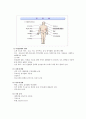 간경화증(간경변증)Liver Cirrhosis case2 4페이지
