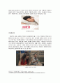 [광고와카피] 영상물 패러디 광고 분석 레포트 7페이지