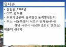 업체 조사 14페이지