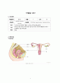 Uterine Myoma 수술케이스 2페이지