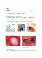 Uterine Myoma 수술케이스 13페이지
