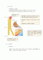 생물학 1~3장 요약 27페이지