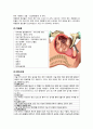 여성간호케이스(제왕절개 케이스) 4페이지