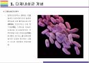 다제내성균 개념, 종류, 현황 그리고 감염관리 [다제내성균,MRSA,VRSA,VRE,CRE,MRPA,MRAB] 4페이지