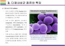 다제내성균 개념, 종류, 현황 그리고 감염관리 [다제내성균,MRSA,VRSA,VRE,CRE,MRPA,MRAB] 12페이지