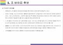 미국 대통령 바이든 후보와 공약 [바이든,오바마,미국,트럼프,미 대선] 9페이지