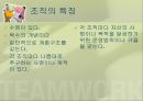 조직(Organizing)기능의실제,조직이란,조직의개념및정의,조직의특징,권력과권한,집권화와분권화 8페이지