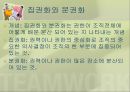 조직(Organizing)기능의실제,조직이란,조직의개념및정의,조직의특징,권력과권한,집권화와분권화 20페이지