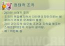 조직(Organizing)기능의실제,조직이란,조직의개념및정의,조직의특징,권력과권한,집권화와분권화 37페이지