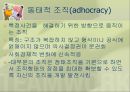 조직(Organizing)기능의실제,조직이란,조직의개념및정의,조직의특징,권력과권한,집권화와분권화 41페이지