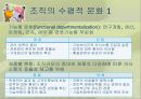 조직(Organizing)기능의실제,조직이란,조직의개념및정의,조직의특징,권력과권한,집권화와분권화 65페이지