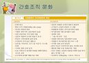 조직(Organizing)기능의실제,조직이란,조직의개념및정의,조직의특징,권력과권한,집권화와분권화 74페이지