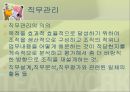 조직(Organizing)기능의실제,조직이란,조직의개념및정의,조직의특징,권력과권한,집권화와분권화 85페이지