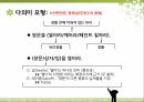 다의어,다의관계란,낱말의의미모형,의미의불연속성,다의어의의미구조,다의어의의미확장 9페이지