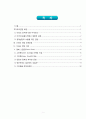 이라크 전쟁에 대하여 그린존(Green Zone) 영화 리뷰 2페이지