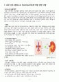 case study 급성 신우신염 3페이지