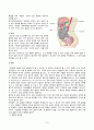 복막염 case, 성인간호학실습, 급성복막염,복막염 케이스 2페이지
