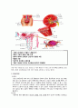 [의약학] 만성신부전 case, 신부전case, 성인간호학실습,CRF case,CRF 케이스,ESRD 2페이지