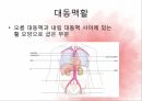 순환계통,혈액,혈액의기능,혈액세포,혈관,대동맥,태아순환 23페이지