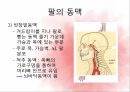 순환계통,혈액,혈액의기능,혈액세포,혈관,대동맥,태아순환 26페이지