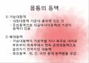 순환계통,혈액,혈액의기능,혈액세포,혈관,대동맥,태아순환 28페이지