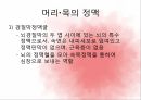 순환계통,혈액,혈액의기능,혈액세포,혈관,대동맥,태아순환 32페이지