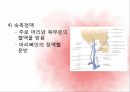 순환계통,혈액,혈액의기능,혈액세포,혈관,대동맥,태아순환 35페이지