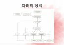 순환계통,혈액,혈액의기능,혈액세포,혈관,대동맥,태아순환 40페이지