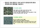 일본의다도,일본차문화의역사,일본다도의정의,일본차의산지,일본차의종류,일본의차문화,일본의다기 15페이지