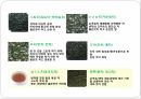 일본의다도,일본차문화의역사,일본다도의정의,일본차의산지,일본차의종류,일본의차문화,일본의다기 17페이지