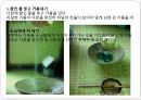 일본의다도,일본차문화의역사,일본다도의정의,일본차의산지,일본차의종류,일본의차문화,일본의다기 34페이지