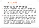 일본의다도,일본차문화의역사,일본다도의정의,일본차의산지,일본차의종류,일본의차문화,일본의다기 36페이지