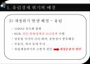 유럽의경제위기,글로벌금융위기,유럽경제위기의전개과정,유럽재정위기가미치는영향 6페이지