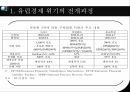 유럽의경제위기,글로벌금융위기,유럽경제위기의전개과정,유럽재정위기가미치는영향 11페이지