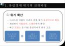 유럽의경제위기,글로벌금융위기,유럽경제위기의전개과정,유럽재정위기가미치는영향 14페이지
