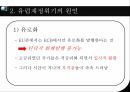 유럽의경제위기,글로벌금융위기,유럽경제위기의전개과정,유럽재정위기가미치는영향 17페이지